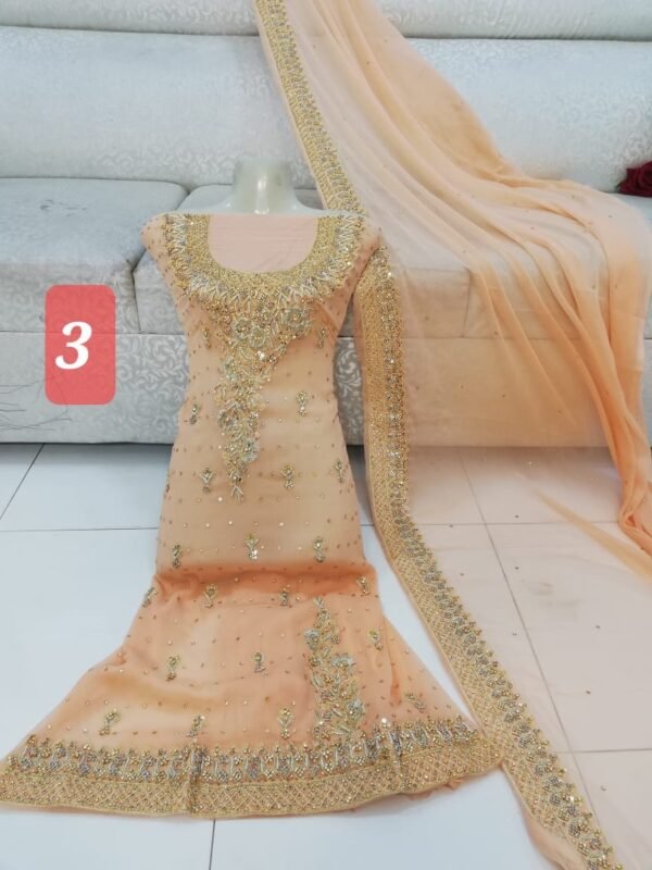 3PC Nakshi Dabqa With Matha Patti On Duppata - Image 3