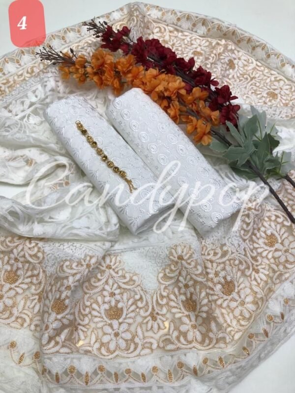 Chicken kari with phulkari net duppatta - Image 4