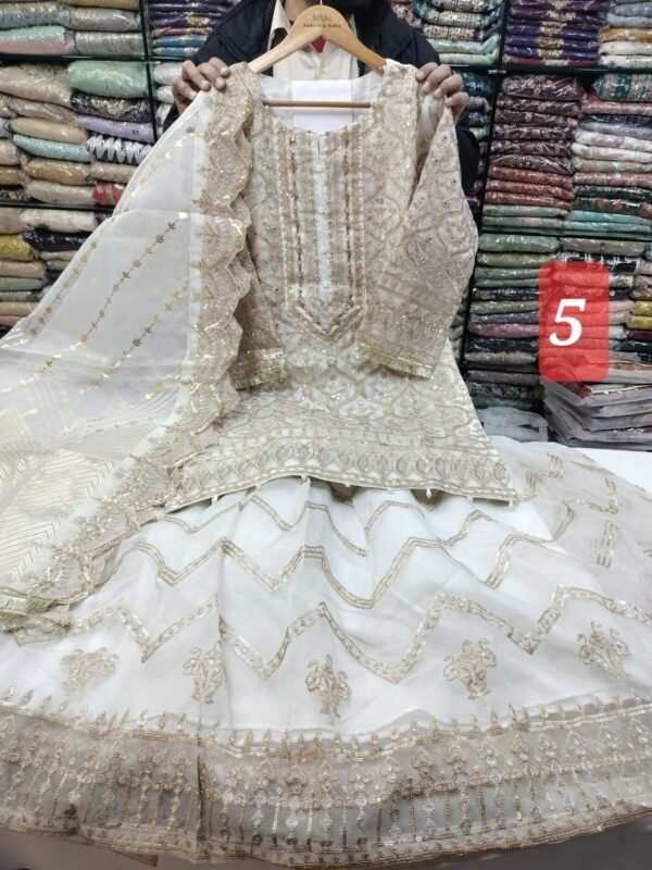 Gharara organza - Image 11