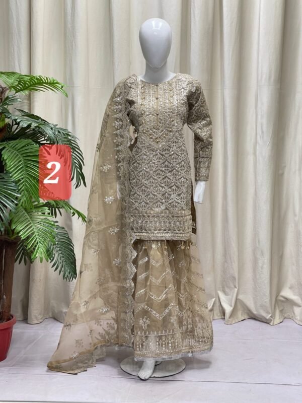 Gharara organza - Image 4