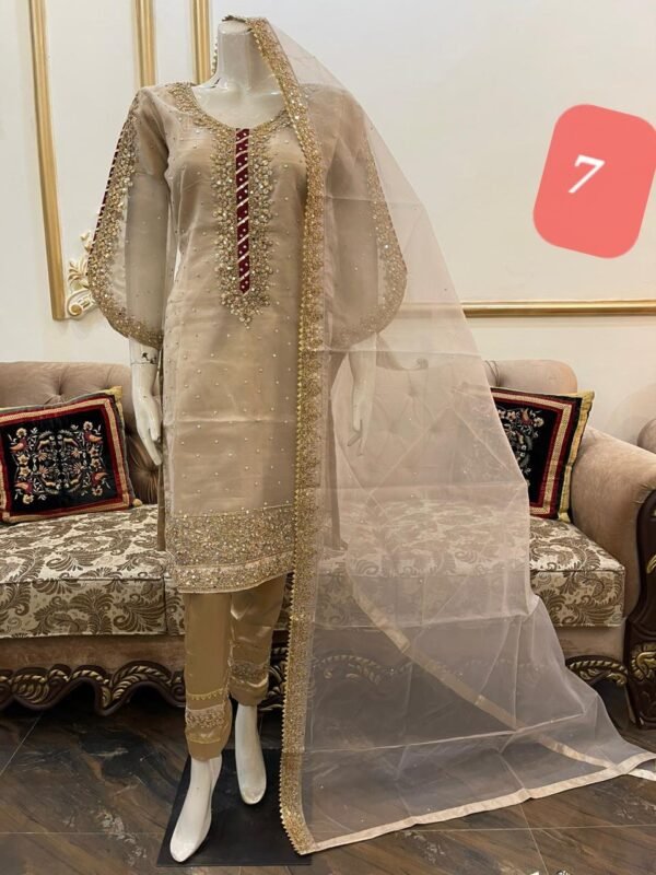 Organza Stitched 3 pcs suit - Image 8
