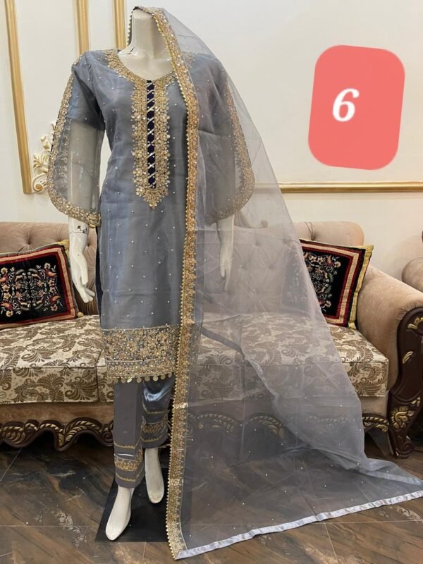 Organza Stitched 3 pcs suit - Image 7