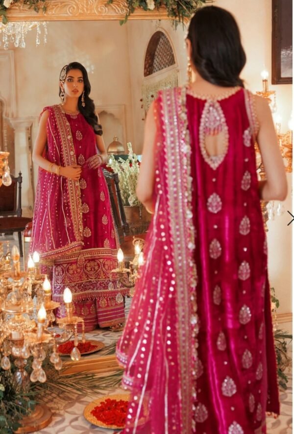 Noor By Saadia Asad Stitched N00RWEDDING-US-PINK-D1 - Image 2