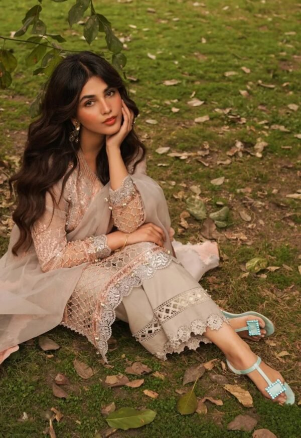 Sana Safinaz Stitched M231-001A-CH - Image 5
