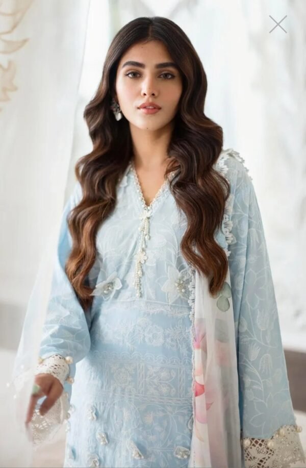 Sana Safinaz Stitched M231-017B-CL - Image 2