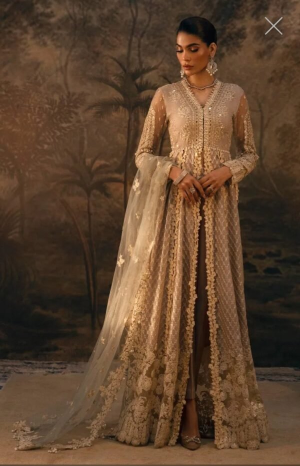 Sana Safinaz Stitched G224-005-CH