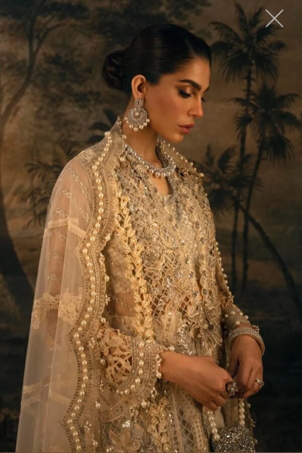 Sana Safinaz Stitched G224-002-CT - Image 3