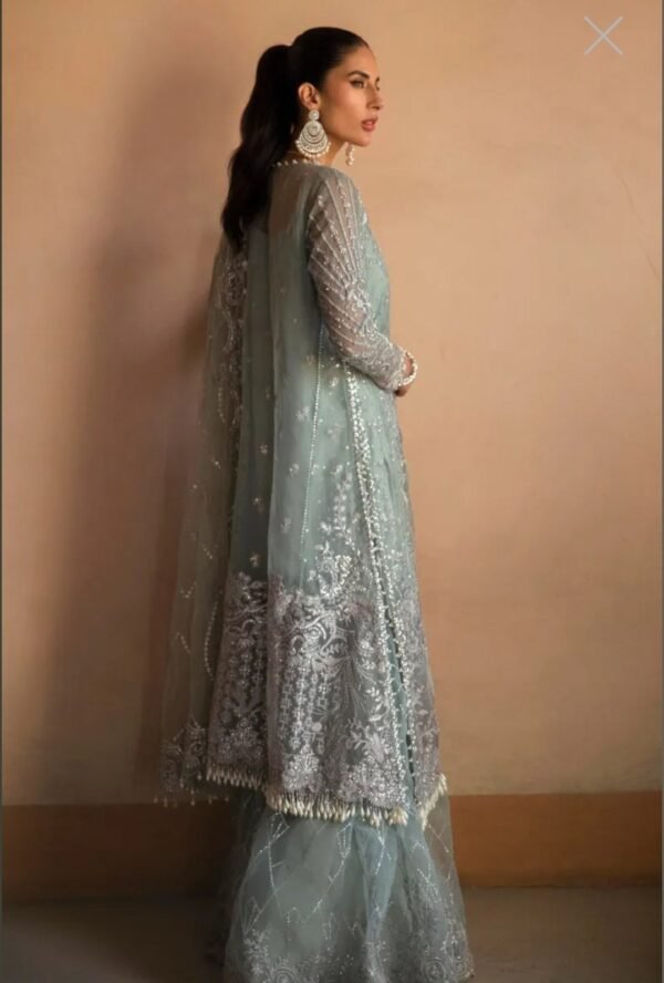Sana Safinaz Stitched G223-003-CT - Image 2