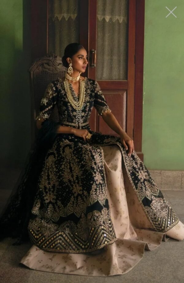 Sana Safinaz Stitched G223-007-CT