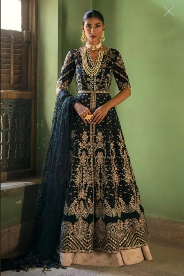 Sana Safinaz Stitched G223-007-CT - Image 2