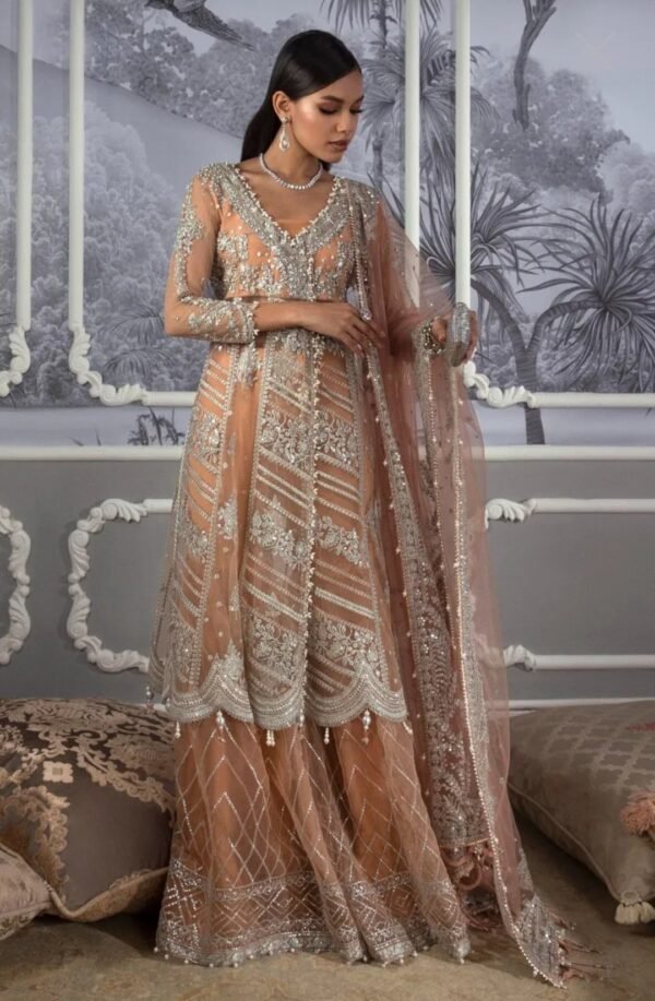 Sana Safinaz Stitched G222-002-CT