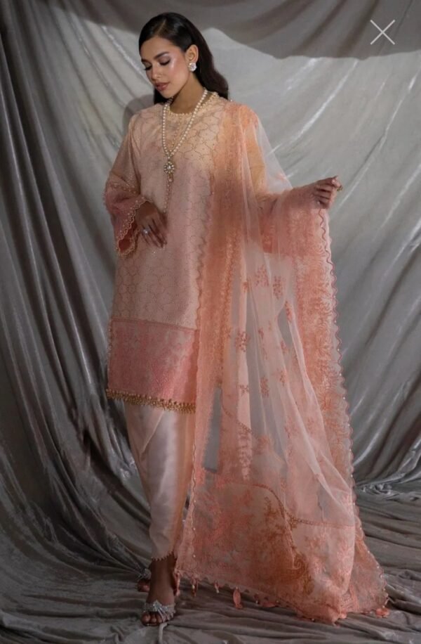 Sana Safinaz Stitched K221-003A-CX