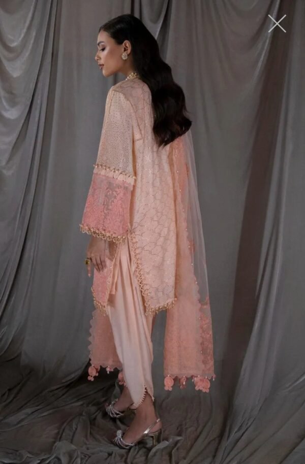 Sana Safinaz Stitched K221-003A-CX - Image 3
