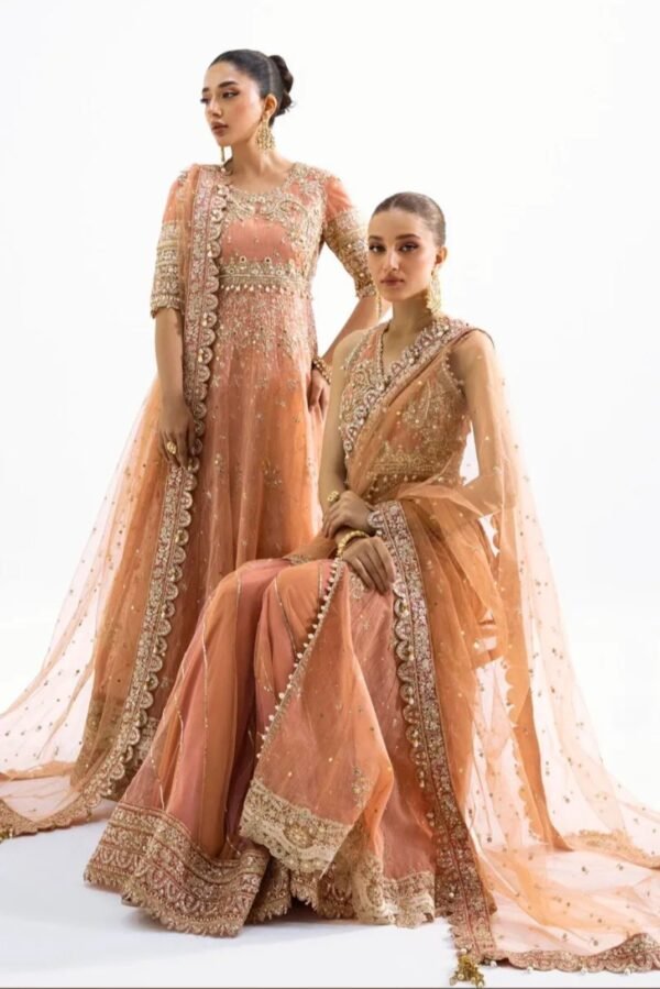 Sana Safinaz Nura Collection N231-008-CT