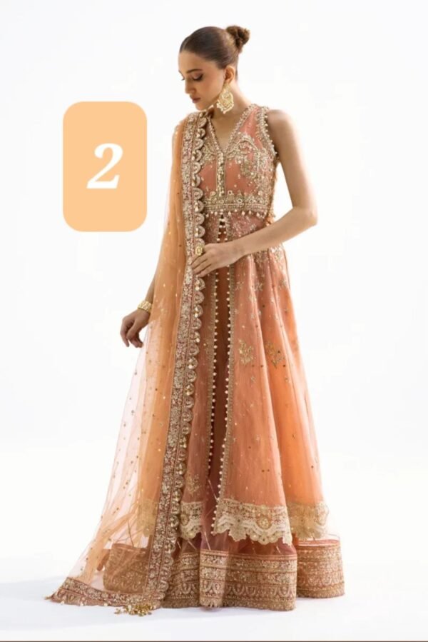 Sana Safinaz Nura Collection N231-008-CT - Image 5