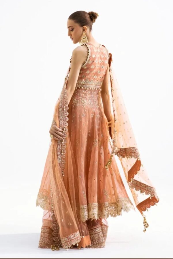 Sana Safinaz Nura Collection N231-008-CT - Image 7