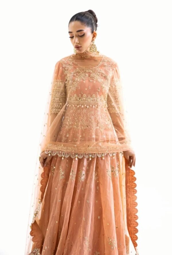 Sana Safinaz Nura Collection N231-008-CT - Image 3