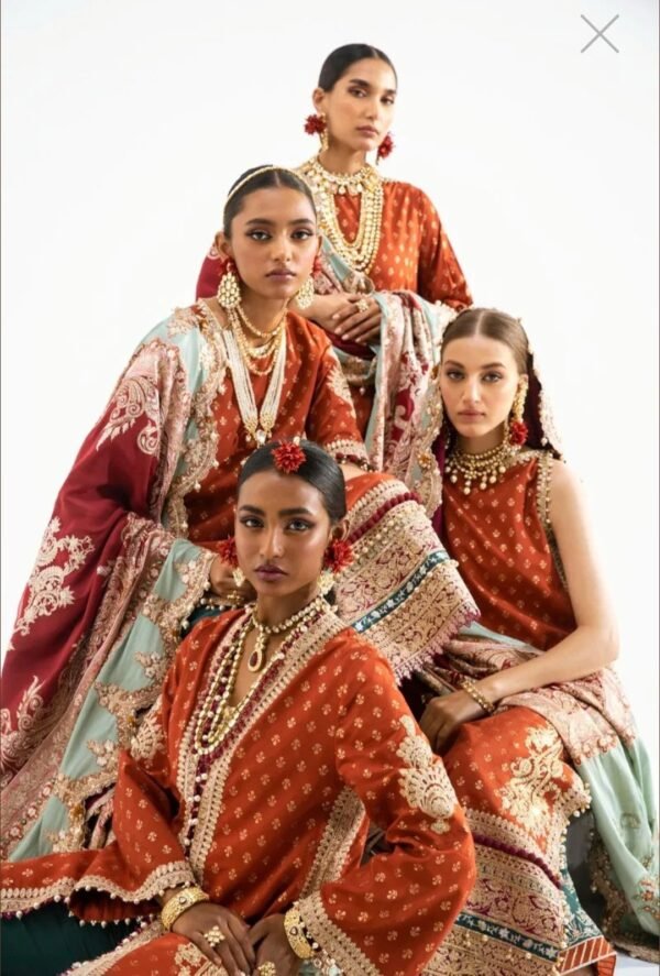 Sana Safinaz Stitched N231-006-CL