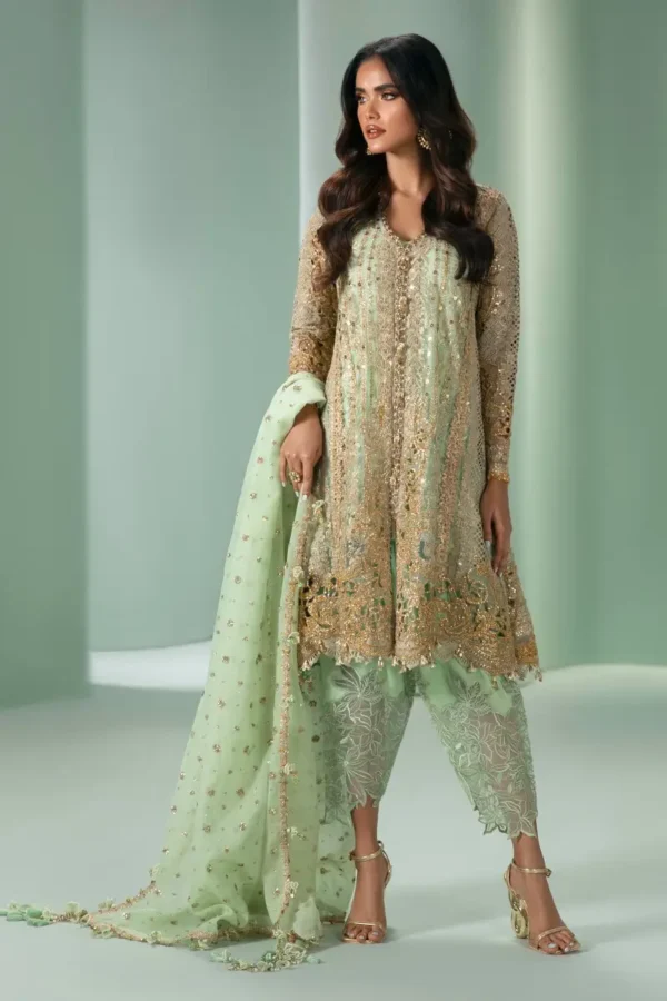 Sana Safinaz Stitched N233-007-CV - Image 4