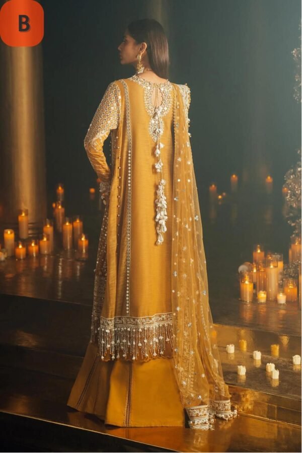 Sana Safinaz Stitched L241-002A/B-3CT - Image 4