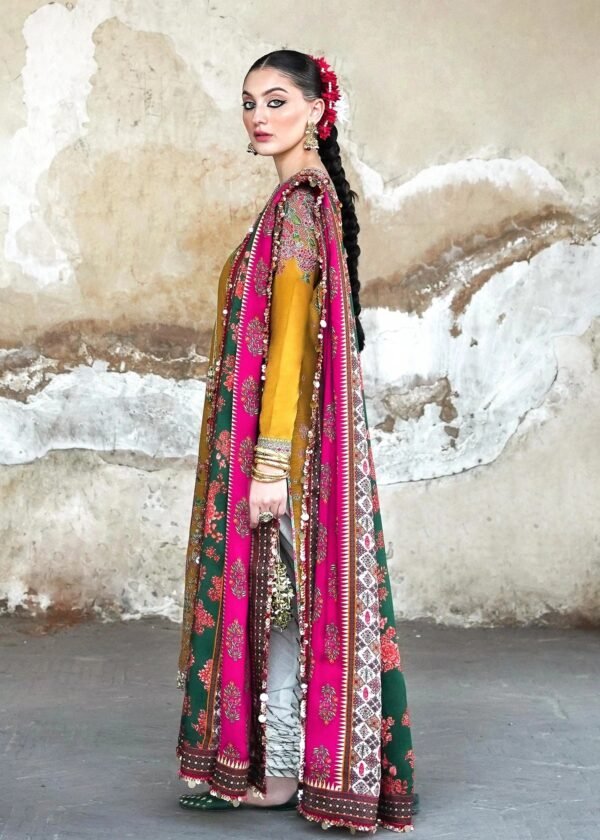 Hussain Rehar Hana - Image 3