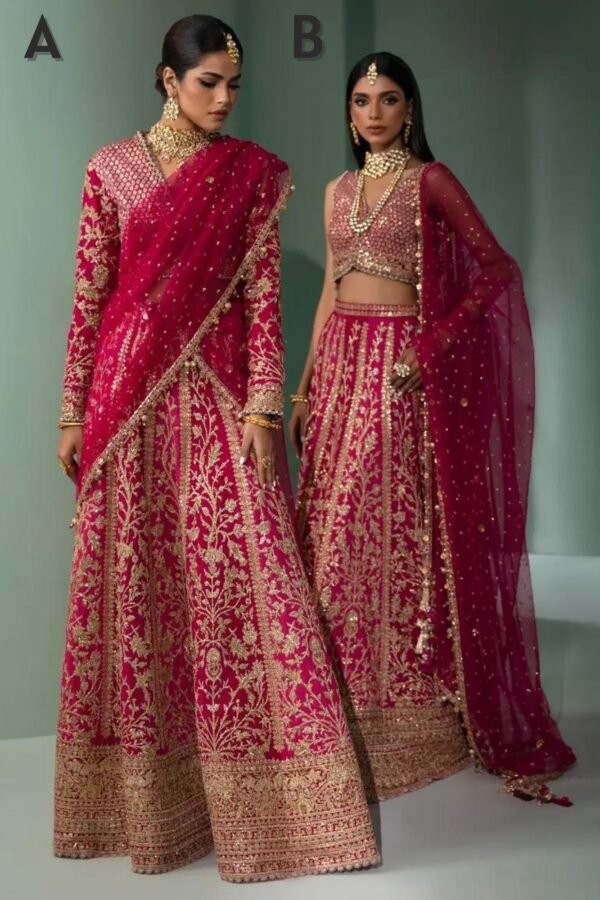 Sana Safinaz Stitched N233-004-CT