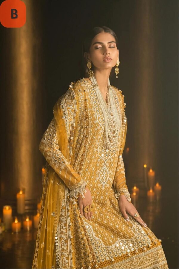 Sana Safinaz Stitched L241-002A/B-3CT - Image 3