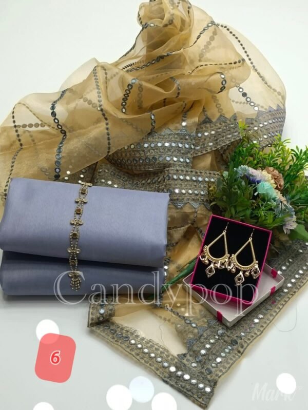 3PC Stitched Raw Silk Suit With Organza Sequence,Mirror work & Embroiderd Dupatta - Image 7