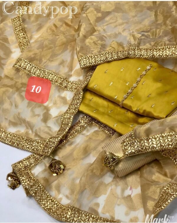 Gota jackquard duppatta with shamoze silk - Image 10
