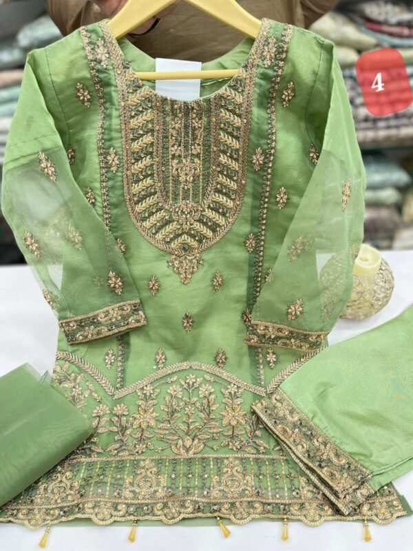 Girls organza thread & adda work 2 designs 4 colors - Image 5
