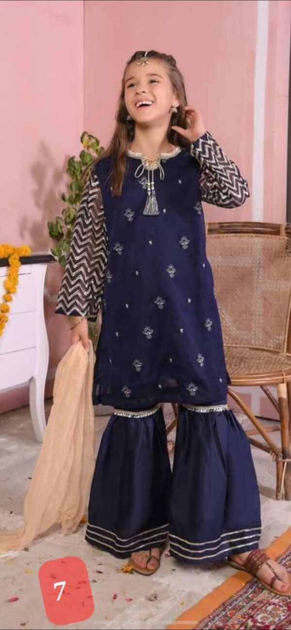 3PC Girls Chiffon Dresses(14 designs)
