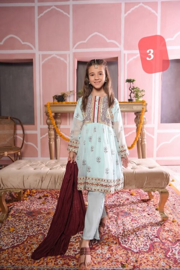 3PC Girls Chiffon Dresses(14 designs) - Image 4
