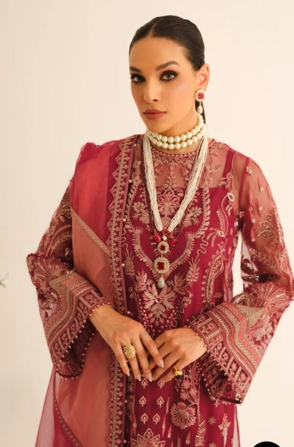 BAROQUE 3PC STITCHED EMBROIDERED NET UF 232 - Image 2