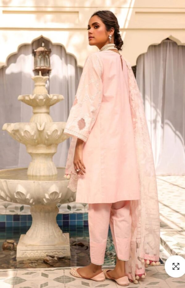Alkaramstudio Stitched 3 Pc Embroidered Lawn Suit With Organza Burnout Dupatta - Image 4