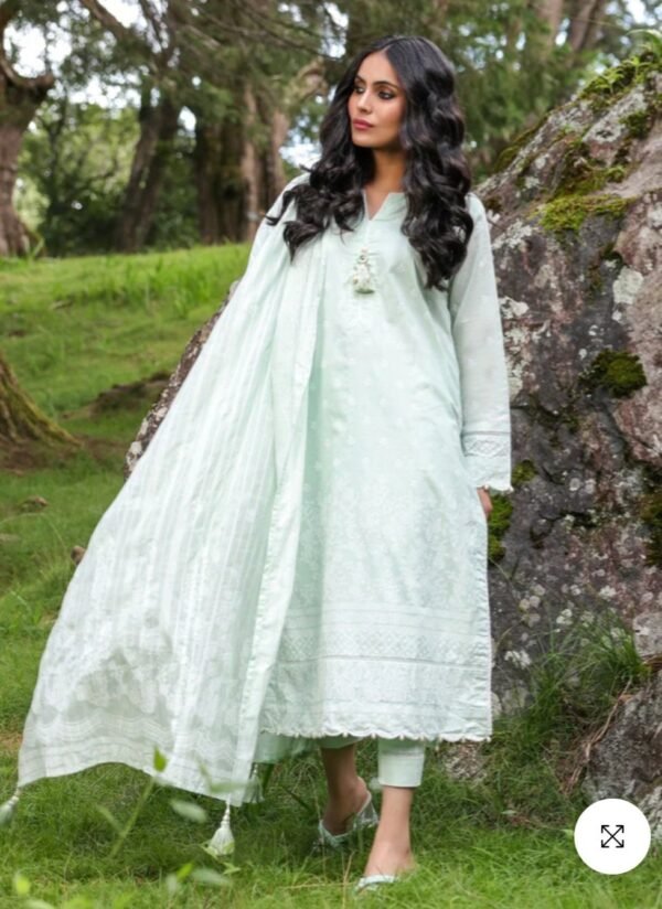 Alkaramstudio Stitched 3 Pc Printed Lawn Suit With Broschia Dupatta