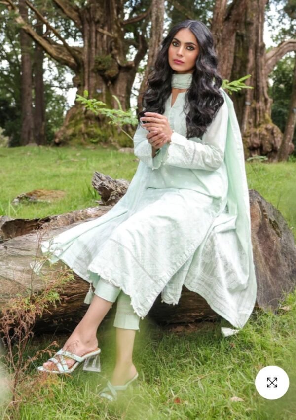 Alkaramstudio Stitched 3 Pc Printed Lawn Suit With Broschia Dupatta - Image 2