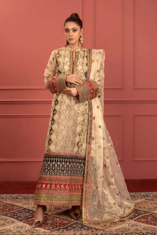 MNM Stitched Mohagney Collection Formal Dress - Farnaaz (FFD-0102)