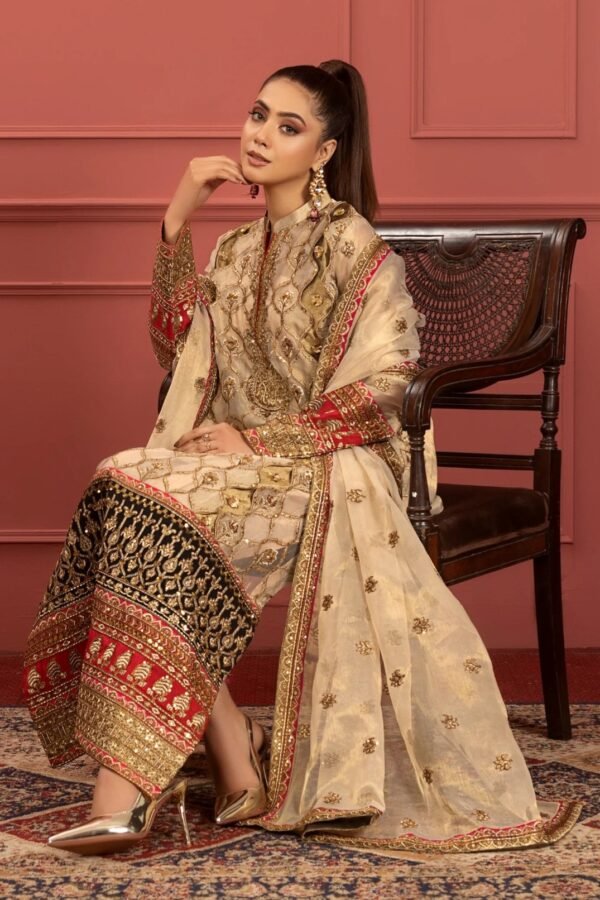 MNM Stitched Mohagney Collection Formal Dress - Farnaaz (FFD-0102) - Image 2