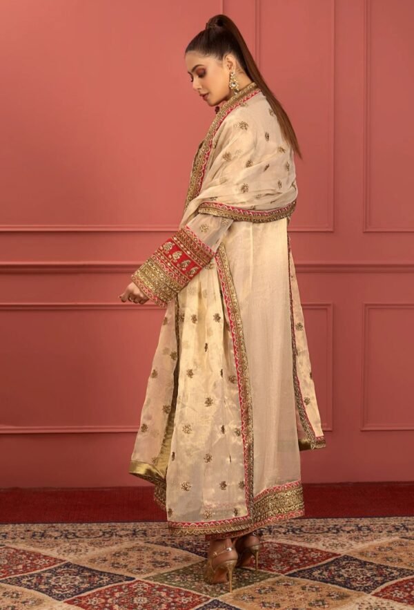 MNM Stitched Mohagney Collection Formal Dress - Farnaaz (FFD-0102) - Image 3