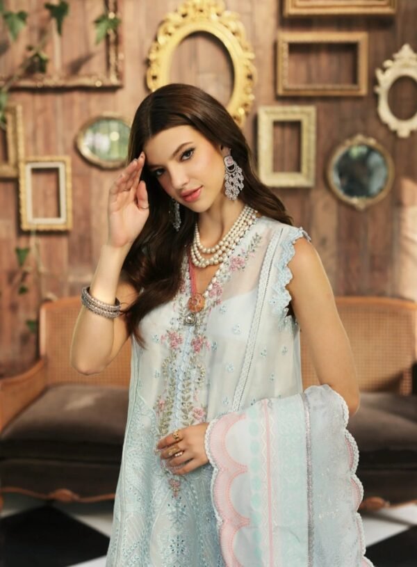 Noor By Saadia Asad Stitched NEHLL-Ice-Blue-D1 - Image 3
