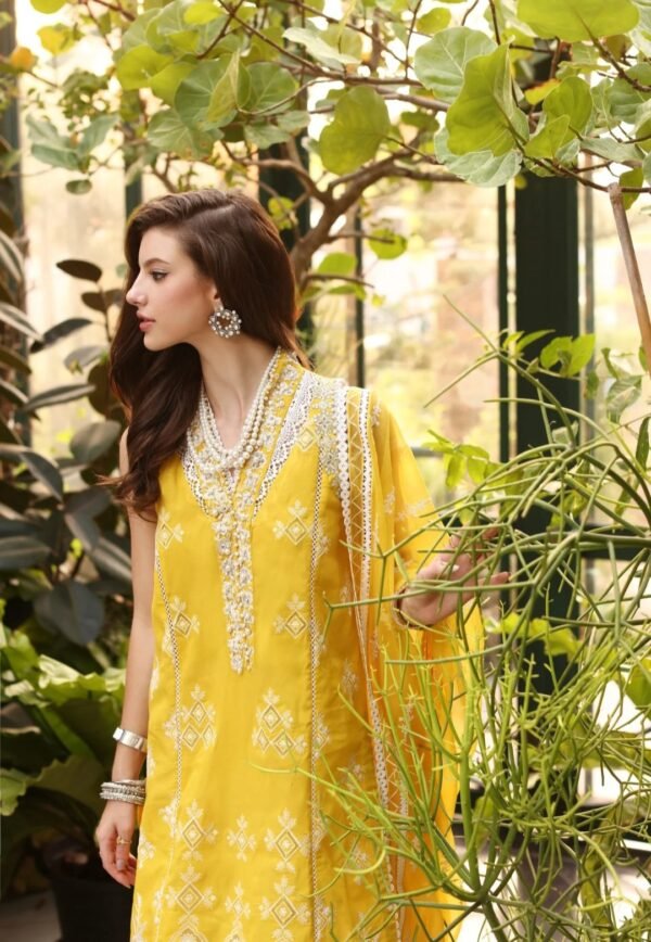 Noor By Saadia Asad Stitched NEHLL-Yellow-D8 - Image 4