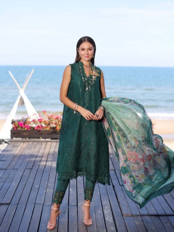 Noor Luxury Chikankari Lawn stitched NLCL23-D1-B