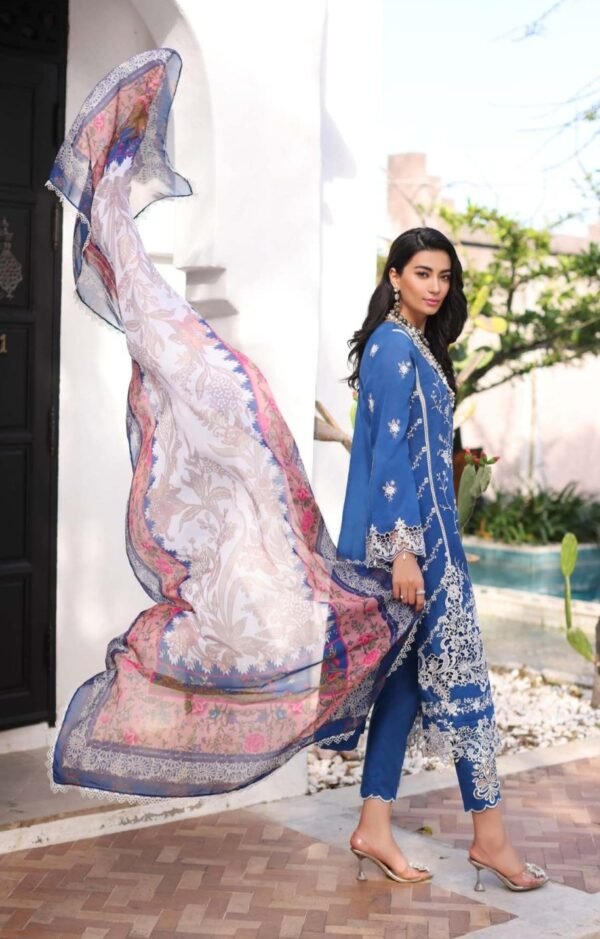 Noor Luxury Chikankari Lawn stitched NLCL23-D10-B - Image 3