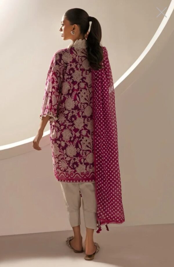 Sana Safinaz 3PC Stitched Mahay Collection H231-011A-BG - Image 3