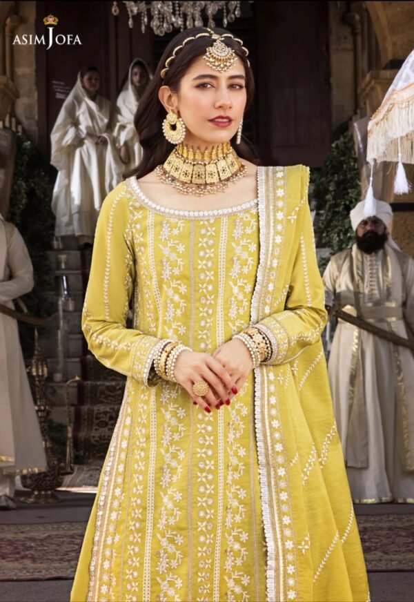 Asim Jofa 3PC Stitched Lucknowi Chikan kaari AJMQ-01 - Image 3