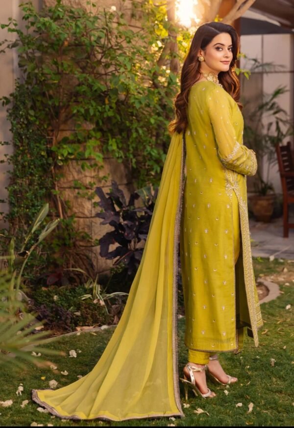 Asim Jofa 3PC Stitched Maahru,Noorie and Meerub AJSM-41 - Image 3