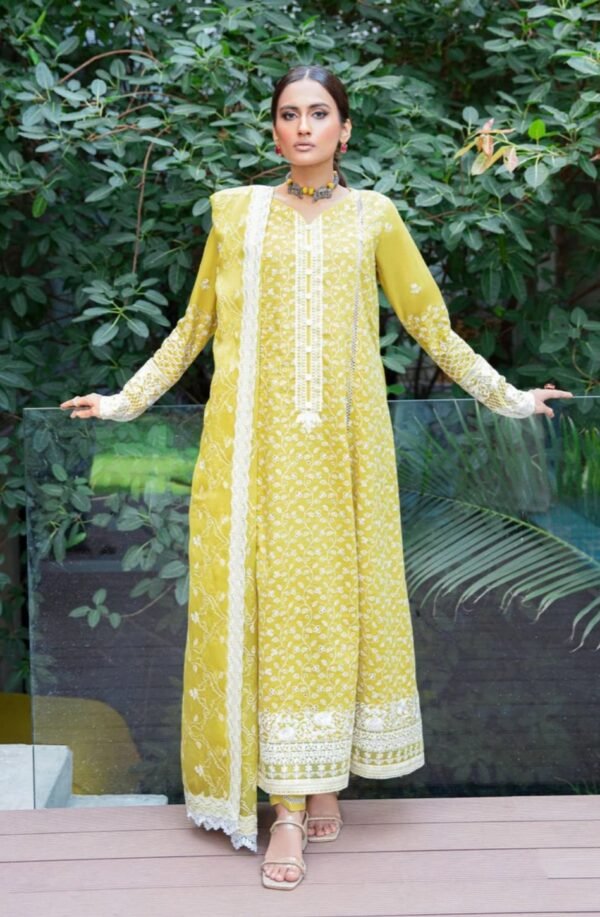 Aik 3PC Stitched LAWN '23 VOL. 2 - LOOK 01 A