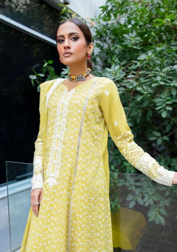 Aik 3PC Stitched LAWN '23 VOL. 2 - LOOK 01 A - Image 2