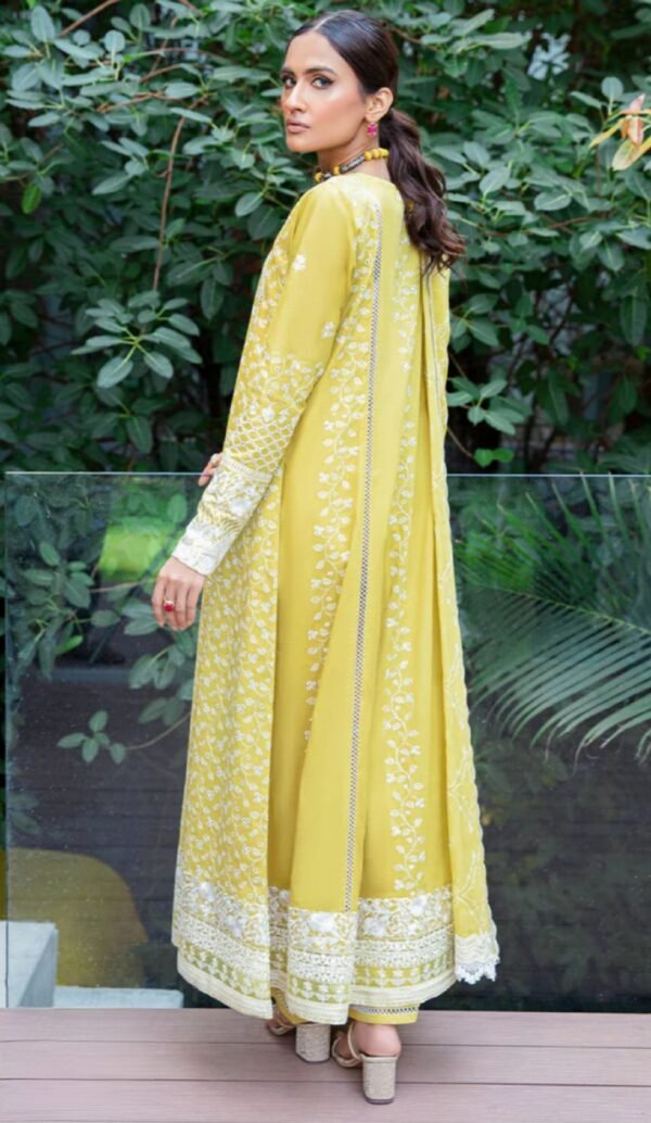Aik 3PC Stitched LAWN '23 VOL. 2 - LOOK 01 A - Image 3