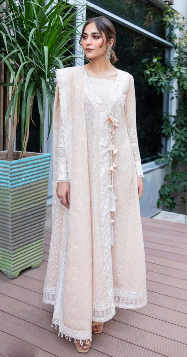 Aik 3PC Stitched LAWN '23 VOL. 2 - LOOK 01 B